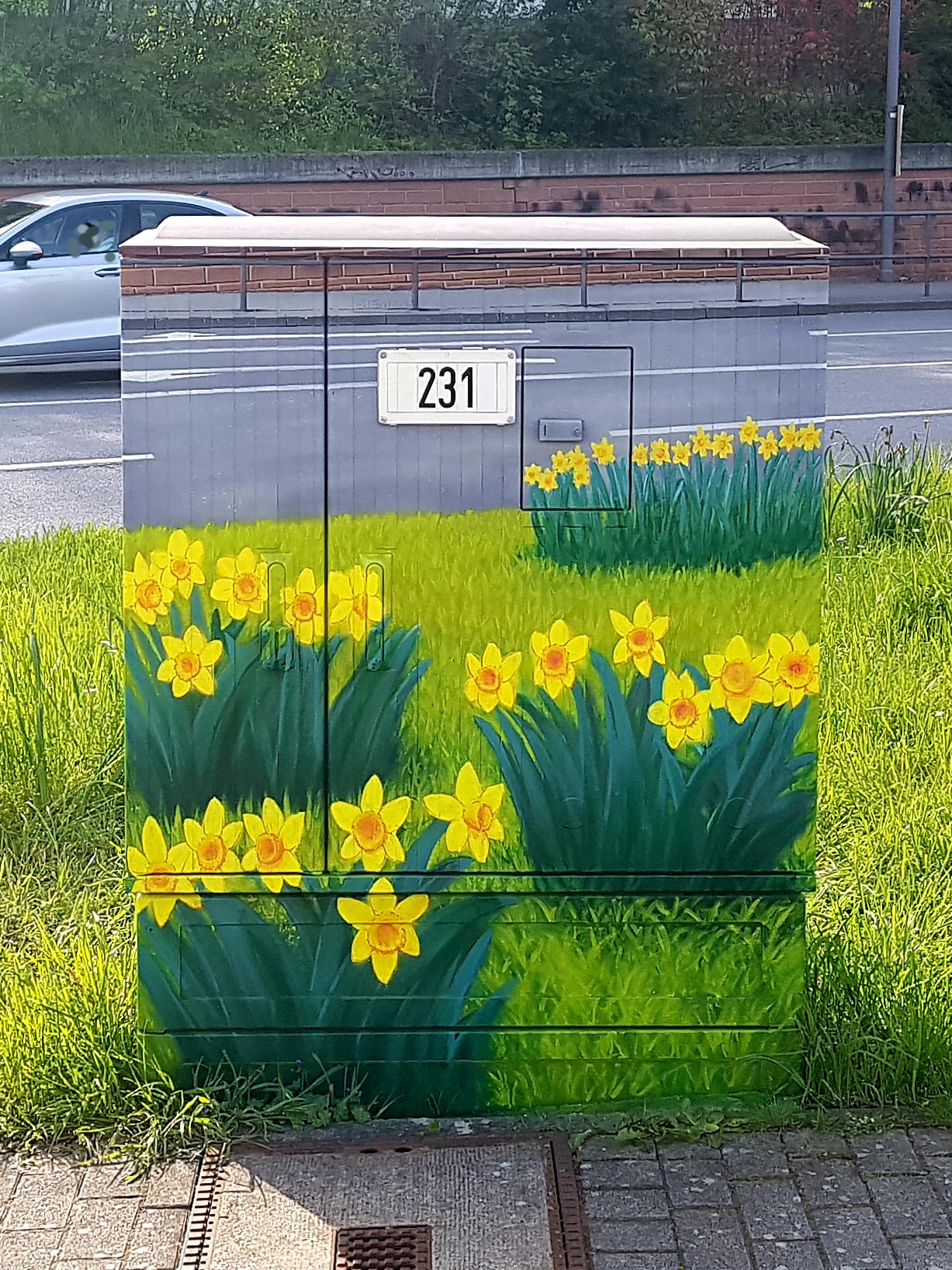 Kasten Nr. 6 Osterglocken